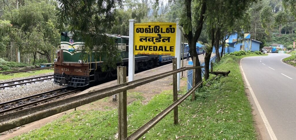 lovedale-13
